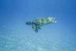 south zakynthos tour