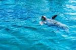 south zakynthos tour